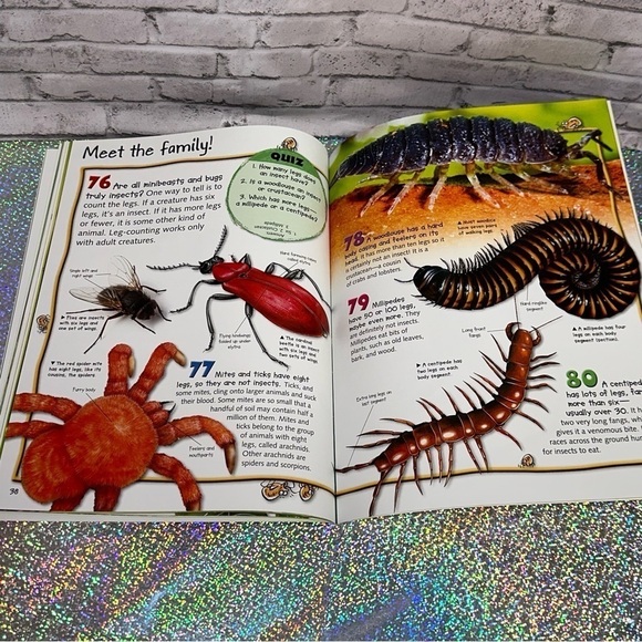 100 Facts BUGS Book Projects Quizzes Fun Facts Cartoons Miles Kelly Publishing - Picture 11 of 12